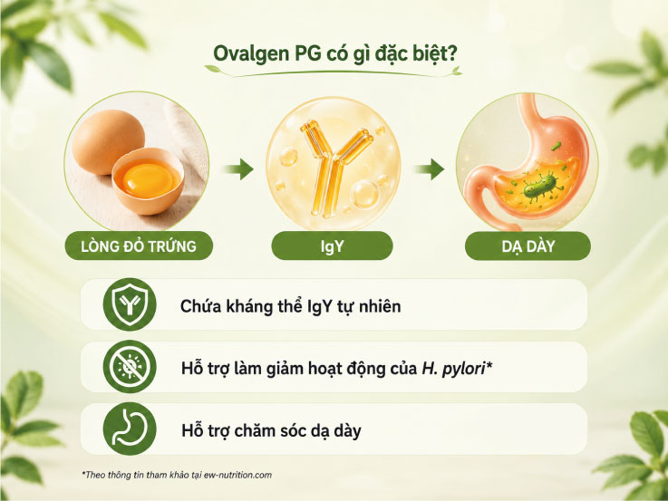 Otac-dung-cua-ovalgen-pg.jpg